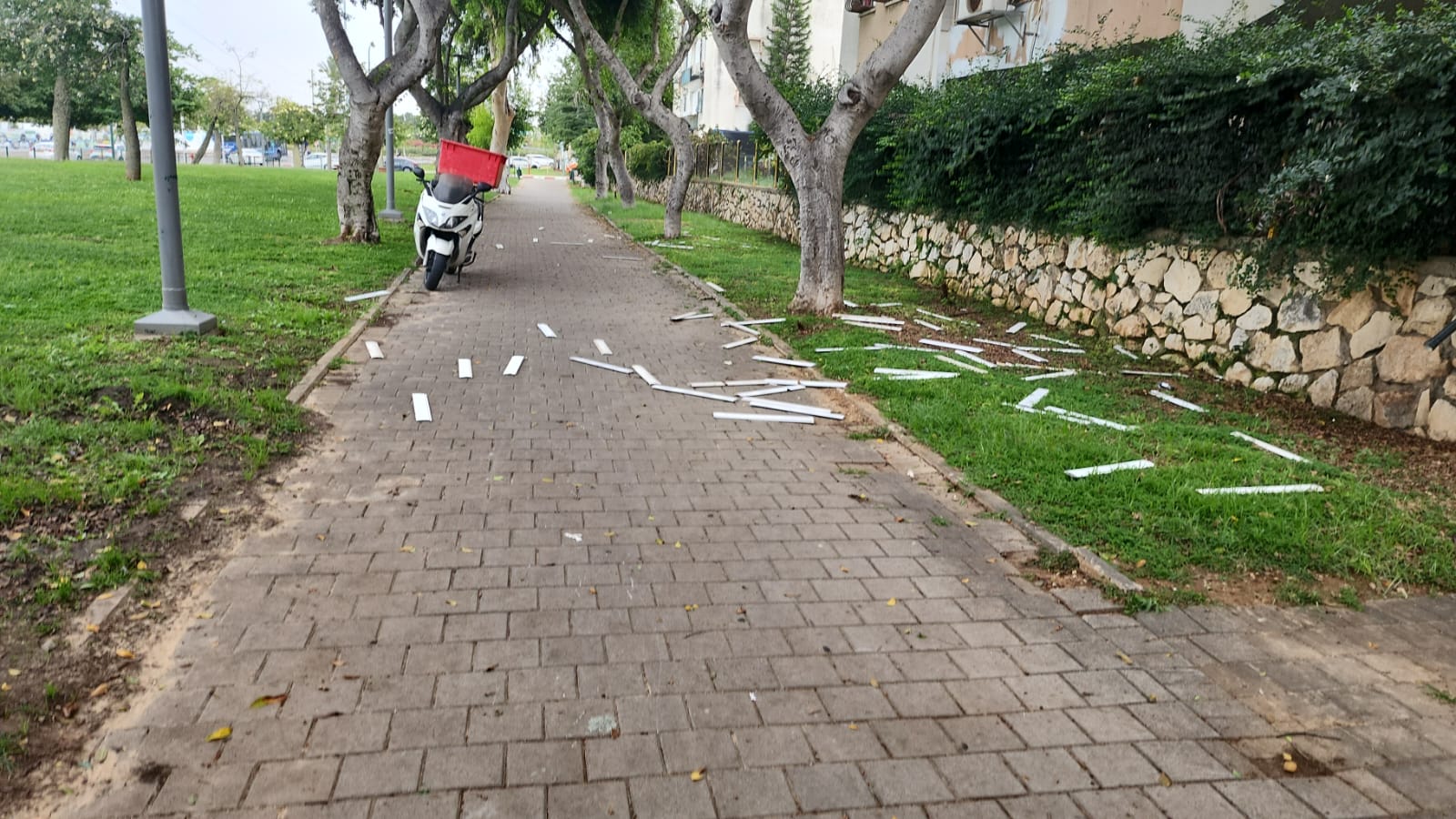 WhatsApp Image 2023-10-27 at 15.08.25.jpeg